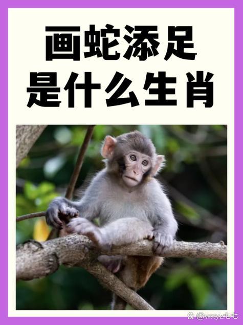 落落大方是啥生肖