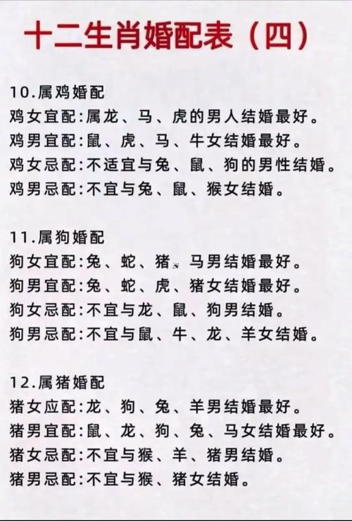 啥生肖是夫妻